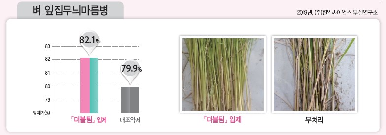 화면 캡처 2021-11-12 134400.jpg